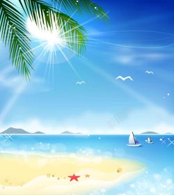 沙滩贝壳海边风景插画背景高清图片