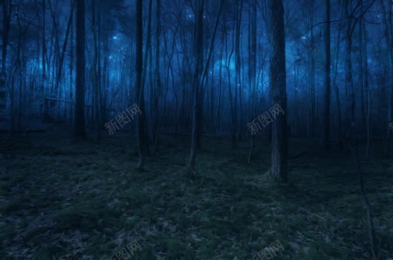 神秘蓝色森林绿草地背景