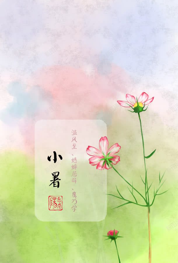 粉折色小花节气小暑jpg设计背景_88icon https://88icon.com 小暑 节气