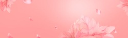 海报粉红色唯美粉色花朵背景高清图片