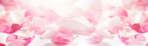 浪漫粉色白色花瓣背景