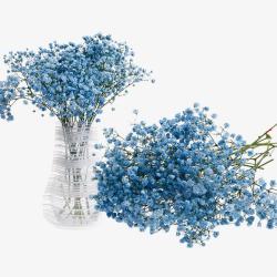 干花花束蓝色满天星装饰高清图片