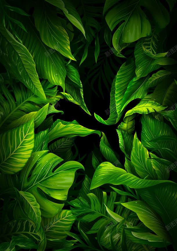 神秘绿色植物树叶卡通jpg设计背景_88icon https://88icon.com 卡通 树叶 神秘 绿色植物