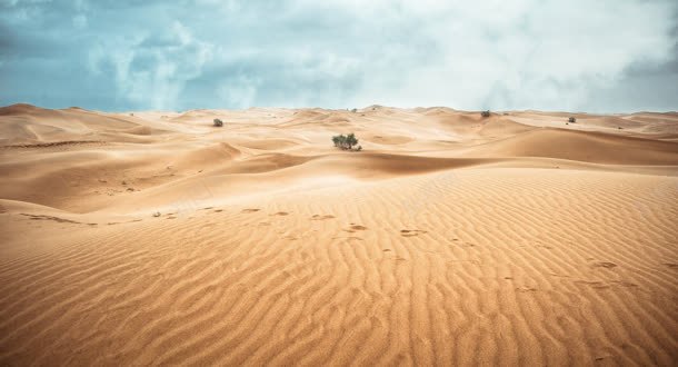 无边的黄色沙漠蓝天空jpg设计背景_88icon https://88icon.com 淡蓝 天空 无边 沙漠 高低不平 黄色 印迹 骆驼