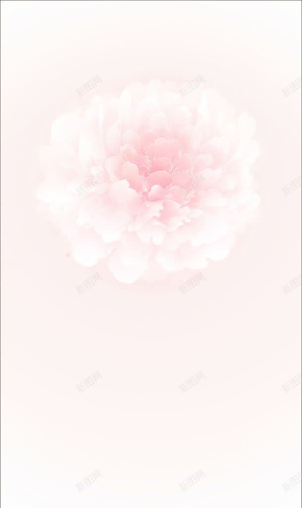水彩手绘粉色花朵jpg设计背景_88icon https://88icon.com 水彩 粉色 花朵