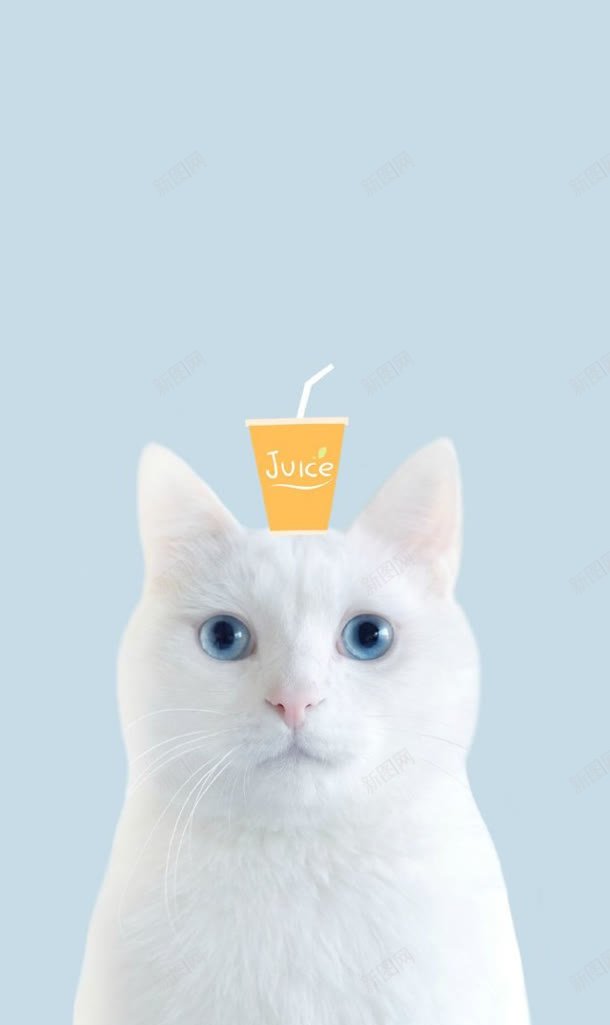白色小猫头上的果汁jpg设计背景_88icon https://88icon.com 果汁 白色