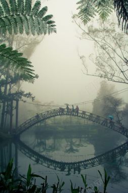 迷雾里的小桥植物背景