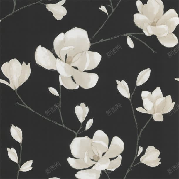 手绘黑色背景白色花插画jpg设计背景_88icon https://88icon.com 插画 白色 背景 黑色