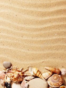 海螺与沙子图片大海风情边框与背景高清图片