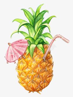 夏天菠萝菠萝高清图片