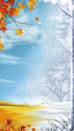 冬天季节季节变化的景色高清图片