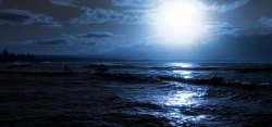 月光下的荷花夜晚月光下的大海高清图片