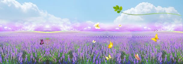 紫色梦幻花园淘宝海报背景背景