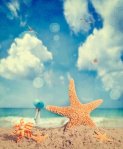 海边美女沙滩上的海星和风车高清图片