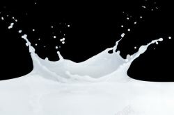 高清饮料图片白色牛奶奶花高清图片