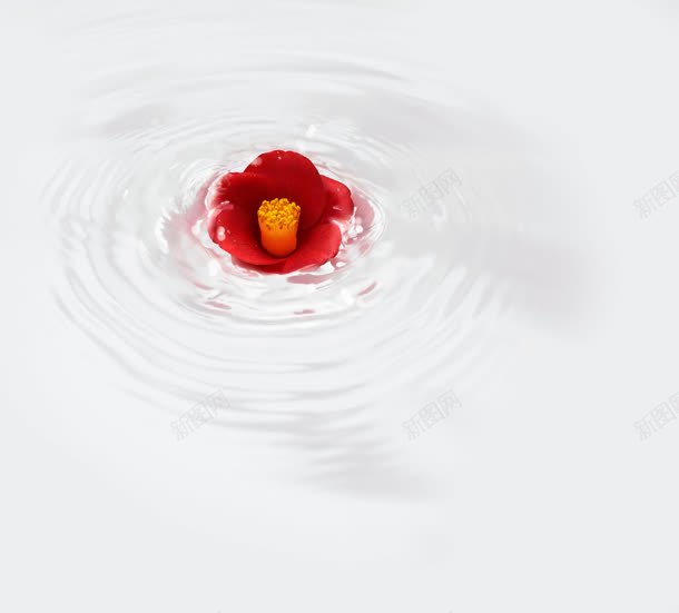 水漩涡里的红色花蕾jpg设计背景_88icon https://88icon.com 水流漩涡 漩涡 红色 花蕾