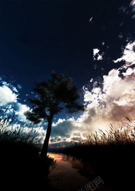 黑色天空白云效果树木摄影风格背景
