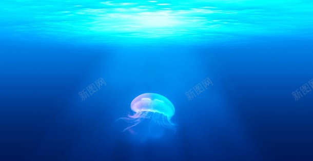 深蓝海底可爱水母背景