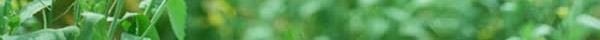 白色淡雅大屏背景jpg设计背景_88icon https://88icon.com 淡雅 白色 背景
