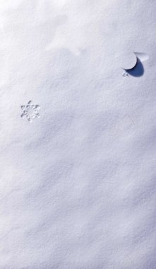 星星月亮艺术白色雪地背景