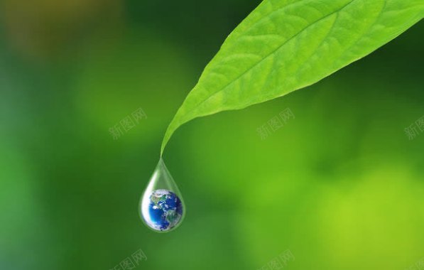 树叶上的水滴地球背景