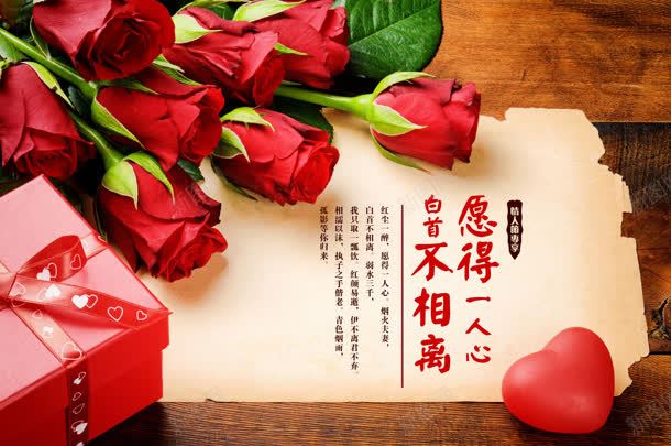 红色清新玫瑰花朵jpg设计背景_88icon https://88icon.com 清新 玫瑰 红色 花朵