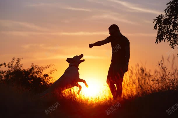 夕阳下的狗狗与男人jpg设计背景_88icon https://88icon.com 夕阳 男人