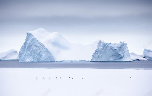 冰山企鹅海报背景背景