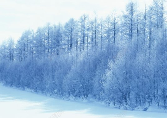 创意合成东北的雪景环境渲染背景