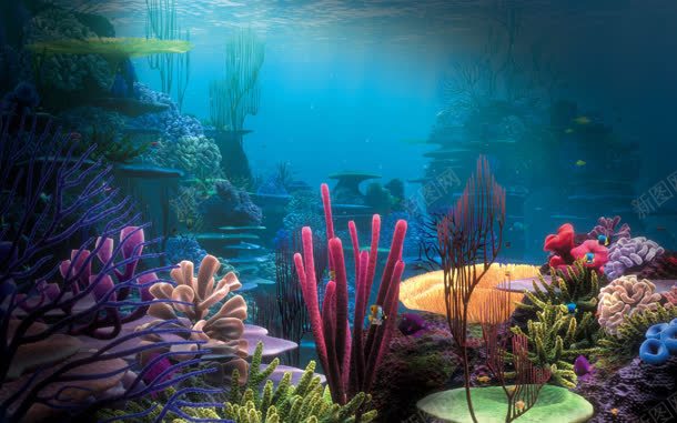 绚丽多彩的海底世界背景jpg设计背景_88icon https://88icon.com 世界 多彩的 海底 绚丽 背景