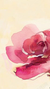 水彩手绘粉色花朵插画背景