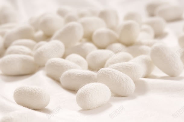 简洁茧丝蚕茧jpg设计背景_88icon https://88icon.com 简洁 素材 茧丝 蚕茧