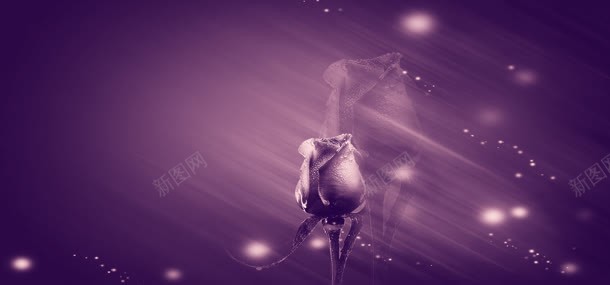 唯美梦幻紫色花朵背景海报jpg设计背景_88icon https://88icon.com 个人摄影写 唯美梦幻 封面海报 广告背景设计 系列婚纱模板 紫色 黄朵