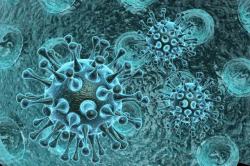 显微镜下的生活蓝色带刺病毒体细胞高清图片