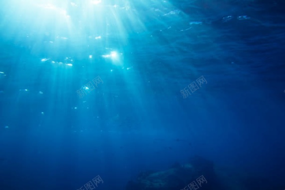 水下摄影海底世界摄影图片