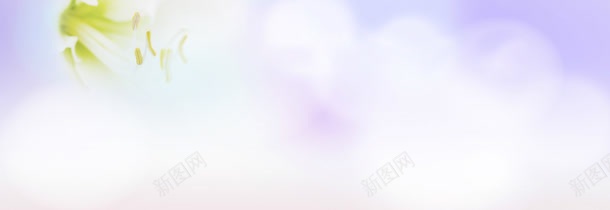 唯美紫色浪漫海报背景jpg设计背景_88icon https://88icon.com 女包 小清新 服装 海报设计 花瓣 荷花