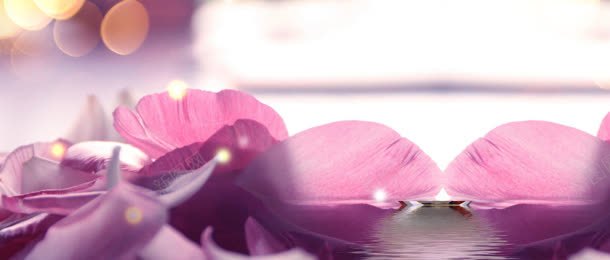 紫色花朵背景jpg设计背景_88icon https://88icon.com 化妆品 唯美 广告设计模板 梦幻 海报素材 海报设计 瓶 瓶子 色彩 花朵 香水 高档
