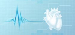 心脏解剖图医疗心脏图解背景高清图片