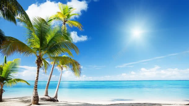 阳光沙滩蓝天白云椰子树背景