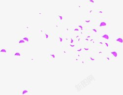 紫色花瓣婚礼邀请函素材