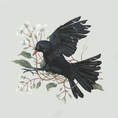 手绘树叶黑色小鸟背景