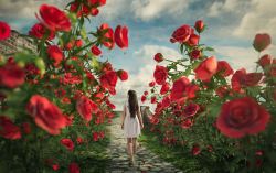 行走的女孩玫瑰花丛里行走的女孩高清图片