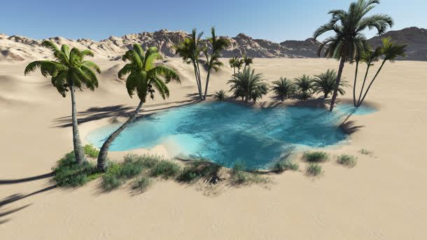 沙漠椰树水矢量背景背景