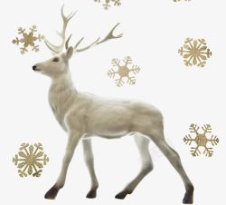 礼物丝带雪花背景图片圣诞节麋鹿高清图片