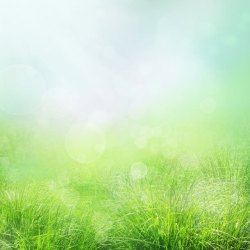 绿色光斑草地自然风景背景高清图片