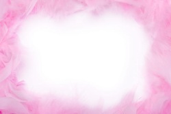 温馨相框粉红色羽毛背景高清图片