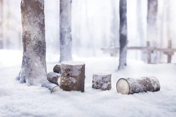 树木枯枝雪景冬天的气息背景