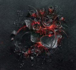 火焰玫瑰燃烧的黑色玫瑰灰烬高清图片