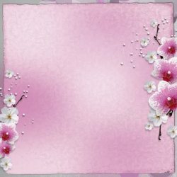 钟爱粉红花朵背景高清图片