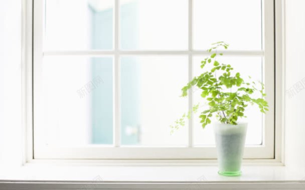 干净简约白色窗台绿叶背景